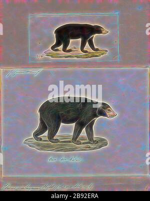 Ursus malayanus, Print, the Sun Bear (Helarctos malayanus) est une espèce d'ours présente dans les habitats forestiers tropicaux de l'Asie du Sud-est. Il est répertorié comme vulnérable sur la Liste rouge de l'UICN. La population mondiale aurait diminué de plus de 30% au cours des trois dernières générations d'ours. L’habitat approprié a été considérablement réduit en raison de la déforestation à grande échelle qui a eu lieu dans toute l’Asie du Sud-est au cours des trois dernières décennies., 1700-1880, réinventée par Gibon, conception de la glanissement chaleureuse et joyeuse de la luminosité et de la radiance des rayons lumineux. L'art classique réinventé avec une touche moderne. Photogr Banque D'Images