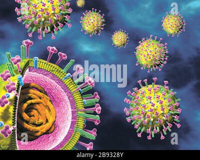 Illustration tridimensionnelle montrant des virus de l'influenza avec ARN, des protéines de surface hémagglutinine et neuraminidase Banque D'Images