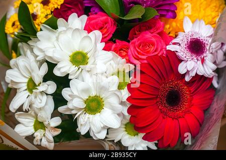 Un beau bouquet de gerberas rouges, de chrysanthèmes blancs et de roses rouges. Arrière-plan de la fleur Banque D'Images