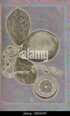 Limon Ponzinus jardin Matthaeiorum, agrumes, fig. 59, p. 290, 1646, Giovanni Battista Ferrari: Hesperides sive de malorum aurecultura et usu libri quatuor. Romae: Somptutibus Hermanni Scheus, 1646, réinventé par Gibon, design de gai gai chaleureux de luminosité et de rayons de lumière radiance. L'art classique réinventé avec une touche moderne. La photographie inspirée du futurisme, qui embrasse l'énergie dynamique de la technologie moderne, du mouvement, de la vitesse et révolutionne la culture. Banque D'Images