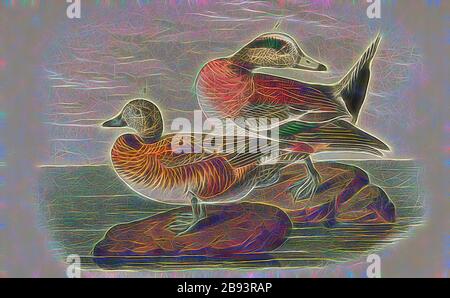 Le Widgeon américain, le Wigeon nord-américain (Aras americana), signé: J.J. Audubon, J.T. Bowen, lithographie, PL. 389 (vol 6), Audubon, John James (tiré), Bowen, J. T. (lith.), 1856, John James Audubon : les oiseaux de l'Amérique : tiré de dessins faits aux États-Unis et sur leurs territoires. New York: Audubon, 1856 ans, repensé par Gibon, conception de lumière chaude et gaie, rayonnant de lumière et de rayonnement. L'art classique réinventé avec une touche moderne. Photographie inspirée par le futurisme, embrassant l'énergie dynamique de la technologie moderne, le mouvement, la vitesse et révolutionnez la culture. Banque D'Images