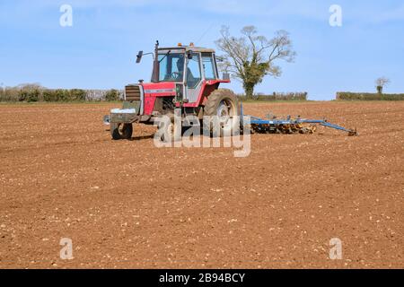 Tracteur Massey Ferguson 698 forant la plantation de betteraves à sucre avec un semoir de précision Kleine Unicorn 3 sur les terres agricoles en mars Banque D'Images