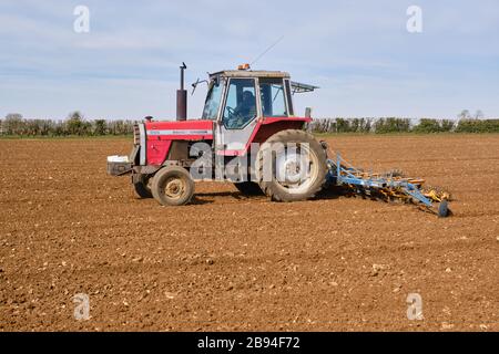 Tracteur Massey Ferguson 698 forant la plantation de betteraves à sucre avec un semoir de précision Kleine Unicorn 3 sur les terres agricoles en mars Banque D'Images