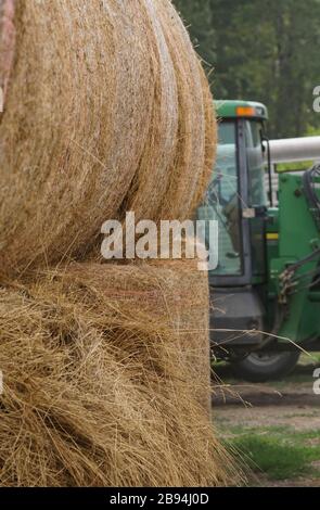 Des piles de balles de foin laminées sont placées devant un équipement agricole Banque D'Images