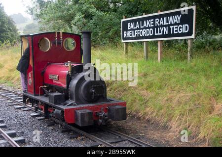 Moteur à vapeur à voie étroite, 'Mad Marion', construit en 1903, à Bala Lake Railway, Bala, Gwynedd, Pays de Galles Banque D'Images