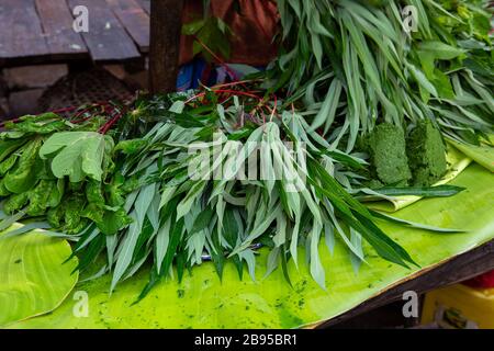 Les feuilles de manioc sont pilées dans un mortier pour obtenir une crème Banque D'Images