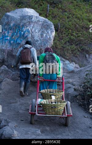 Le mont Ijen abrite l'une des dernières mines de soufre actives au monde. Les mineurs font la randonnée difficile sur les pentes de 9 000 pieds d'Ijen dans l'obscurité. Banque D'Images