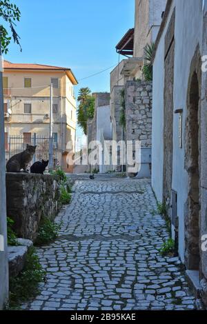 Une rue étroite entre les vieilles maisons de Gaeta, une ville du Latium, en Italie Banque D'Images