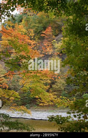 Taughannock Creek en automne Banque D'Images