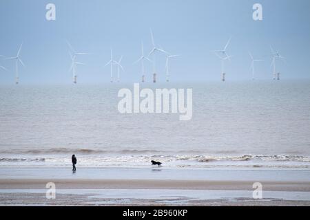 Un homme marche avec son chien le long du rivage de la plage de Skegness avec une vue sur les éoliennes en mer à la distance Banque D'Images