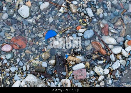 Plastiques et autres polluants, littoral du lac Ontario Banque D'Images