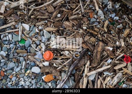 Plastiques et autres polluants, littoral du lac Ontario Banque D'Images