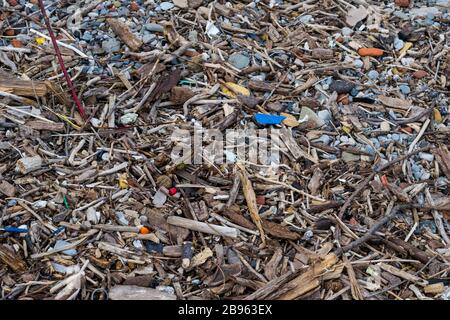 Plastiques et autres polluants, littoral du lac Ontario Banque D'Images