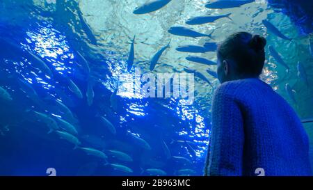 Femme à la recherche du poisson à vortex dans grand public aquarium réservoir à l'oceanarium Banque D'Images