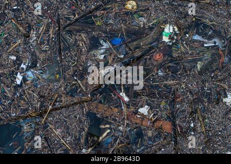 Plastiques et autres polluants, littoral du lac Ontario Banque D'Images