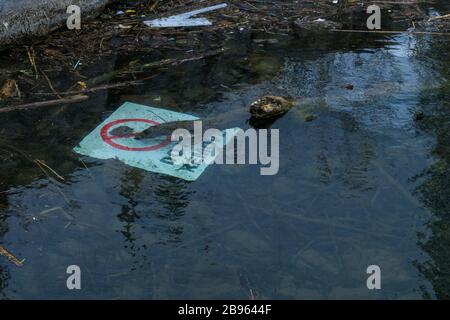 Plastiques et autres polluants, littoral du lac Ontario Banque D'Images