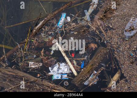 Plastiques et autres polluants, littoral du lac Ontario Banque D'Images