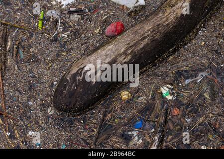 Plastiques et autres polluants, littoral du lac Ontario Banque D'Images