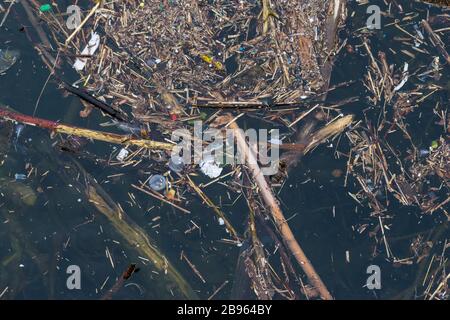 Plastiques et autres polluants, littoral du lac Ontario Banque D'Images