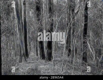 Lantern Slide - Upper Yarra Track, Victoria, 1904-1907, image noir et blanc du brousse dense qui peut être trouvé le long du Upper Yarra Track, photographié par A.J. Campbell qui a organisé deux randonnées à pied du Upper Yarra Track, l'un en 1904 et l'autre en 1907, l'un des nombreux formant le A.J. Campbell Collection, tenue par le Musée Victoria., repensée par Gibon, design de glanissement chaleureux et gai de la luminosité et des rayons de lumière radiance. L'art classique réinventé avec une touche moderne. La photographie inspirée du futurisme, qui embrasse l'énergie dynamique de la technologie moderne, du mouvement, de la vitesse et révolutionne le culte Banque D'Images