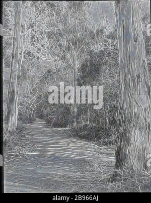 Lantern Slide - Forest Road, Victoria, Australie, Date Unknown, image noir et blanc d'une route forestière à Victoria, photographiée par A.G. Campbell, fils de A.J. Campbell. C'est l'une des nombreuses lanternes en verre qui forment le A.J. Campbell Collection tenue par les musées Victoria., repensée par Gibon, design de glanissement chaleureux et gai de la luminosité et des rayons de lumière radiance. L'art classique réinventé avec une touche moderne. La photographie inspirée du futurisme, qui embrasse l'énergie dynamique de la technologie moderne, du mouvement, de la vitesse et révolutionne la culture. Banque D'Images