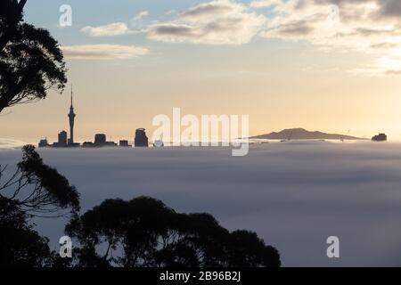 Brouillard défrichement autour du Skytower et Rangitoto, vu du Mont Albert, Auckland Banque D'Images