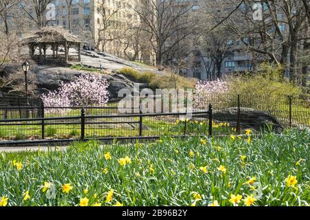 Le parc central est presque déserté en raison de la pandémie COVID-19, mars 2020, New York City, États-Unis Banque D'Images