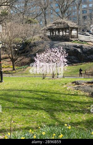 Le parc central est presque déserté en raison de la pandémie COVID-19, mars 2020, New York City, États-Unis Banque D'Images