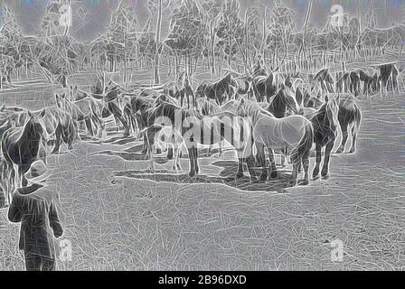 Négatif - Rainbow, Victoria, vers 1910, un grand groupe de chevaux. Certains chevaux sont accompagnés de foals., repensé par Gibon, design de glanissement chaleureux et gai de la luminosité et des rayons de lumière radiance. L'art classique réinventé avec une touche moderne. La photographie inspirée du futurisme, qui embrasse l'énergie dynamique de la technologie moderne, du mouvement, de la vitesse et révolutionne la culture. Banque D'Images