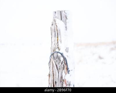 Poteau de clôture dans la neige Banque D'Images