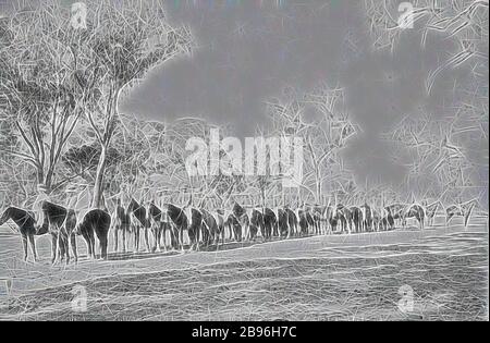 Négatif - Wangaratta, Victoria, 1897, le Boorhaman turc contingent paraading pour les célébrations du Jubilé de diamant., réinventé par Gibon, design de glanissement chaleureux et gai de la luminosité et des rayons de lumière radiance. L'art classique réinventé avec une touche moderne. La photographie inspirée du futurisme, qui embrasse l'énergie dynamique de la technologie moderne, du mouvement, de la vitesse et révolutionne la culture. Banque D'Images