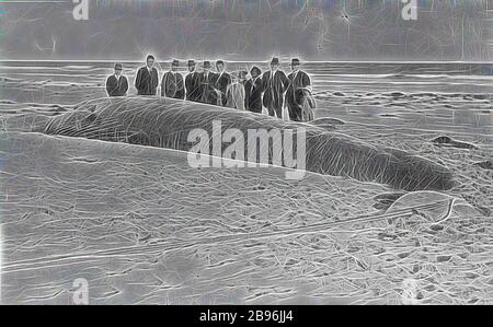 Négatif - Torquay, Victoria, vers 1930, un groupe de personnes avec une baleine qui a été lavé sur la plage., repensé par Gibon, design de glanissement chaleureux et gai de la luminosité et des rayons de lumière radiance. L'art classique réinventé avec une touche moderne. La photographie inspirée du futurisme, qui embrasse l'énergie dynamique de la technologie moderne, du mouvement, de la vitesse et révolutionne la culture. Banque D'Images