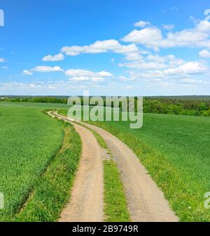 La voie de campagne à travers le paysage culturel au printemps, les champs de céréales vertes, le ciel bleu avec des nuages de cumulus, près de Hermsdorf, Saale-Holzland-Kreis, Thuringe Banque D'Images