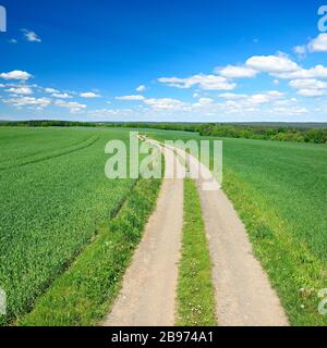 La voie de campagne à travers le paysage culturel au printemps, les champs de céréales vertes, le ciel bleu avec des nuages de cumulus, près de Hermsdorf, Saale-Holzland-Kreis, Thuringe Banque D'Images