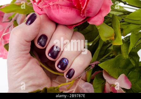 Main d'une femme adulte avec des ongles peints, manucure, vernis à ongles. Studio photo Banque D'Images