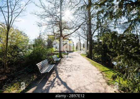 Allée vide avec arbres vifs végétation luxuriante dans le parc français de Strasbourg pendant l'éclosion nationale française de la maladie de Coronavirus Covid-19 Banque D'Images