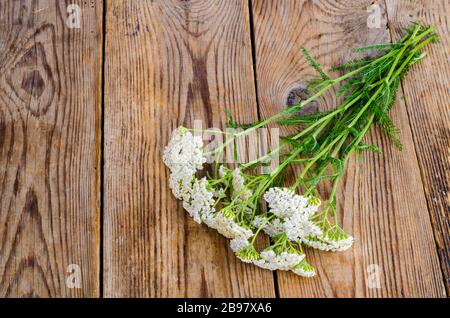 Bouquet de fleurs sauvages avec inflorescences blanches sur table en bois. Studio photo Banque D'Images