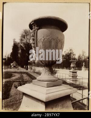 Vase sculpté, jardins des Tuileries, 1ère arrondissement, Paris vase sculpté, jardin des Tuileries. Paris (Ier arr.). Photo d'Eugène Atget (1857-1927). Papier de rage alluminé. 1911. Paris, musée Carnavalet. Banque D'Images