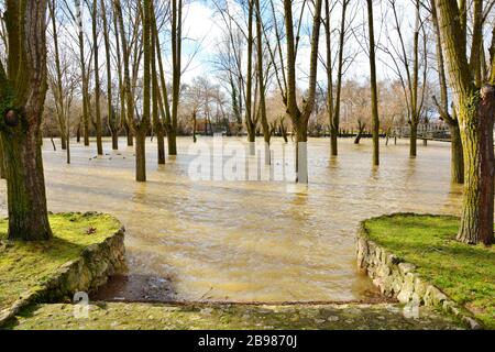 une rivière débordait dans le champ Banque D'Images