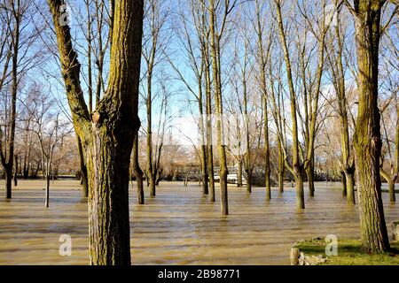 une rivière débordait dans le champ Banque D'Images