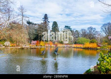 Sculptures de grues dansantes dans le lac de Seven Acres, RHS Garden, Wisley, Surrey avec un fond coloré de cornus fleuris (cornouiller) arbres Banque D'Images