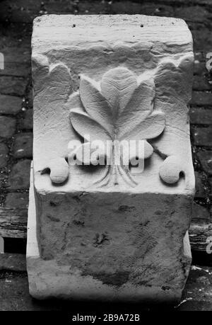 PIÈCE DE PIERRE DE TERRY DÉCORÉE DE FEUILLAGE, DIGS HÔTEL-DIEU, ATTRIBUÉE À L'HÔTEL URSINS (CAT. 29) Anonyme. Fragment de grise en pierre décoré de féuillages, fouilles de l'hôtel-Dieu, attribué à l'hôtel des Ursins (chat. 29). Pierre. Paris, musée Carnavalet. Banque D'Images