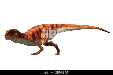 Carnotaure était un dinosaure carnivore à théropodes avec des cornes sur sa tête qui vivaient à l'époque du Crétacé en Amérique du Sud. Sur fond blanc. Rendu 3D Banque D'Images