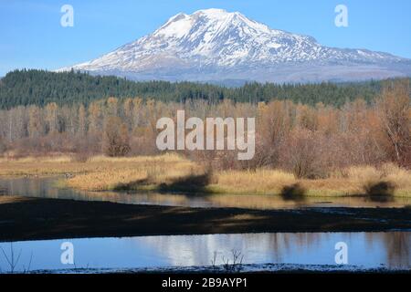 Le stratovolcan de 12,280 pieds Mt Adams vu de Trout Lake, comté de Klickitat, État de Washington, États-Unis. Banque D'Images