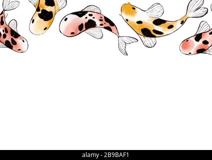 Aquarelle esquisse japonaise jaune et rouge Koi carp bordure de poisson Banque D'Images