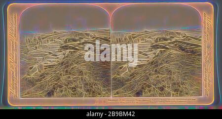 Handiwork du retraitant Boers - pont ferroviaire détruit entre Kroonstadt et Pretoria, Afrique du Sud, Underwood et Underwood, 1900, repensé par Gibon, design de gai gai chaleureux de luminosité et de rayons de lumière radiance. L'art classique réinventé avec une touche moderne. La photographie inspirée du futurisme, qui embrasse l'énergie dynamique de la technologie moderne, du mouvement, de la vitesse et révolutionne la culture. Banque D'Images