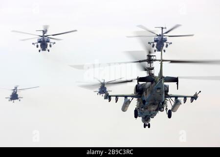 Groupe d'hélicoptères d'attaque au crocodile Ka-52 de la Force aérienne russe. Banque D'Images