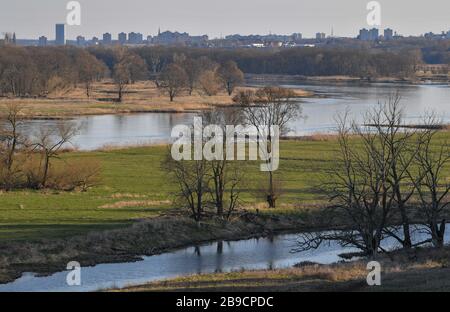 23 mars 2020, Brandenburg, Lebus: Vue des collines d'Oder dans le district de Märkisch-Oderland après la frontière germano-polonaise Oder à Francfort (Oder). Photo : Patrick Pleul/dpa-Zentralbild/ZB Banque D'Images