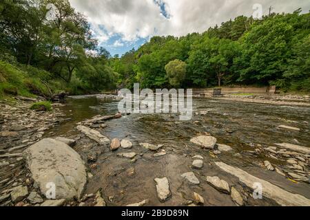 rivière avec bas niveau d'eau montrant le fond rocheux dans les forêts, paysage Banque D'Images