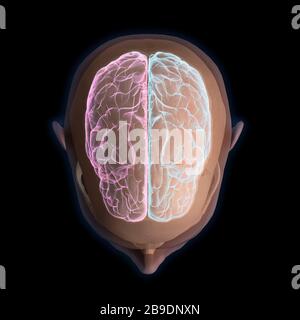 Rendu tridimensionnel de la vue de dessus de la tête humaine et du cerveau sur fond noir. Banque D'Images